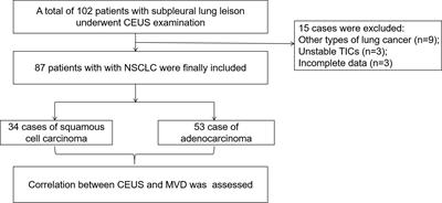 Correlations between contrast-enhanced ultrasound and microvessel density in non-small cell lung cancer: A prospective study